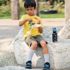 Klean Kanteen Insulated Kid Classic (355ml) - Sugarplum Fairy -Kampa Store K12KVCPPS PD boys waterbottle airplane raphics lifestyle 1 f120d1f2 5790 40e2 8a6e cf45f2764df4